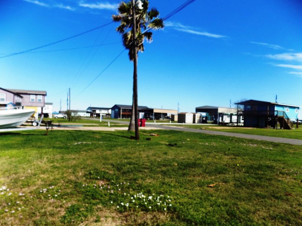 Image 4: The neighborhood