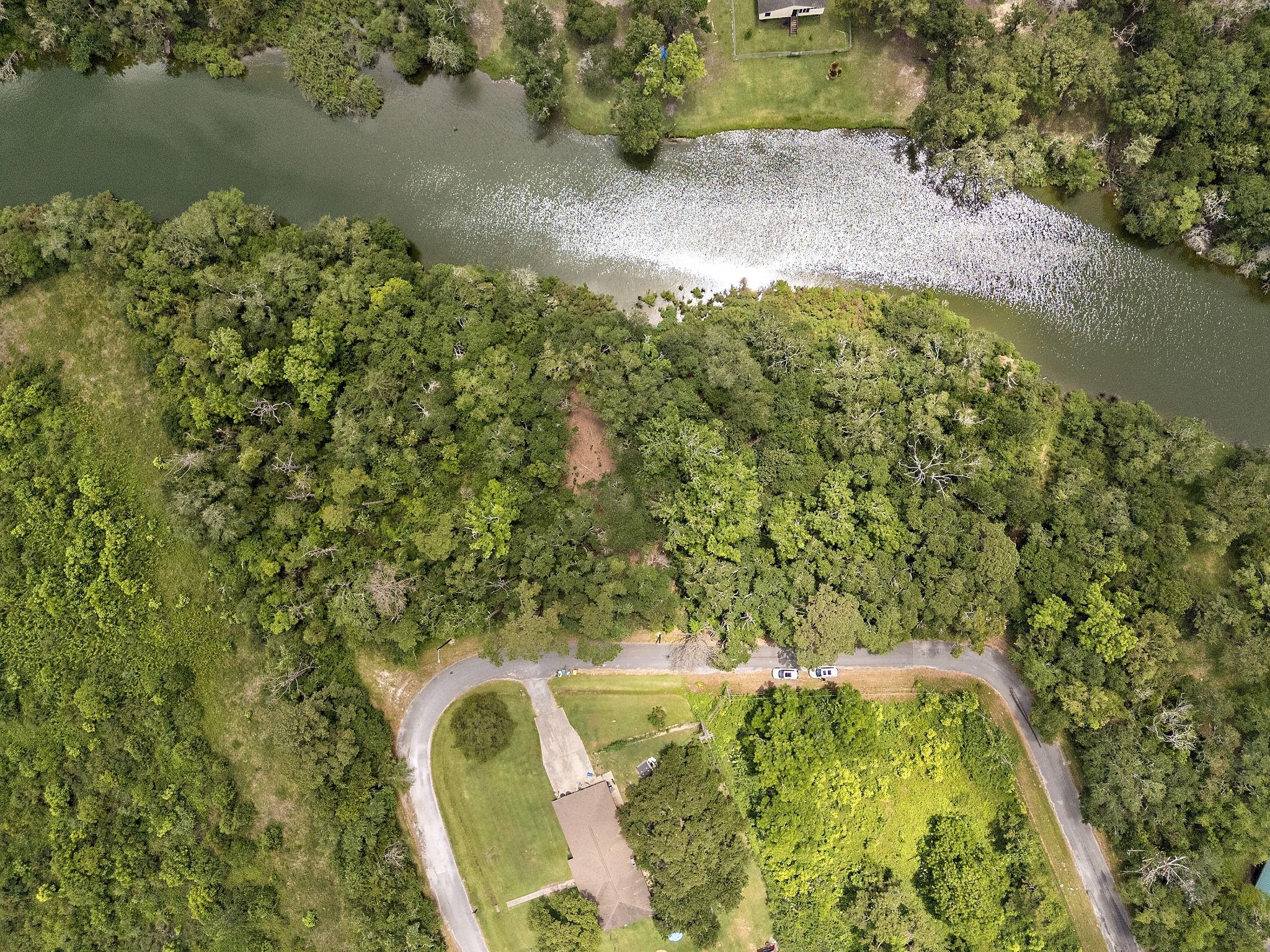 Image 4: Beautiful wooded acreage on Highlands Bayou ready