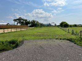 1242 CRYSTAL BEACH Road