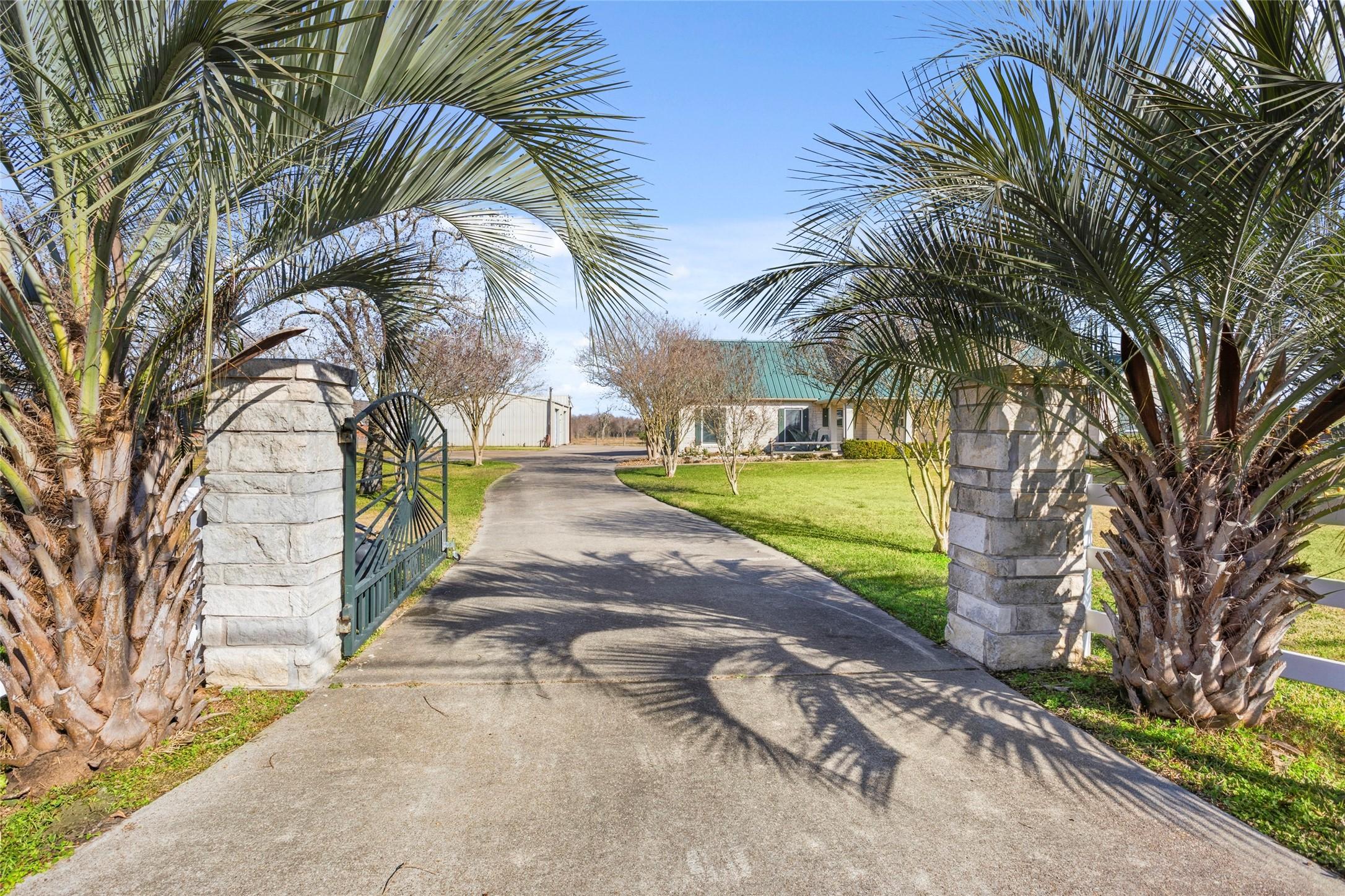 Image 1: A welcoming driveway lined with palm trees leads t