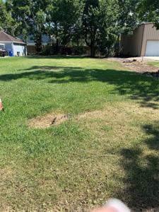 TBD Shadylawn Avenue