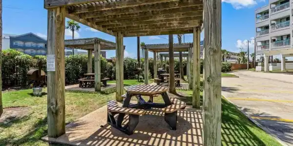 Image 3: Enjoy your picnics partially shaded in the comfort