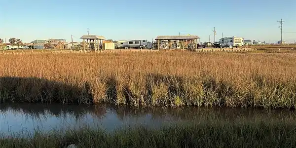 1110 Egret Point