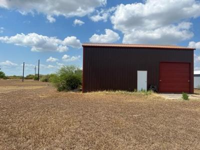 100 Sea Turtle