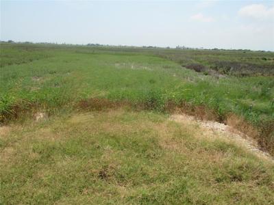 1641 County Road 299 Heron