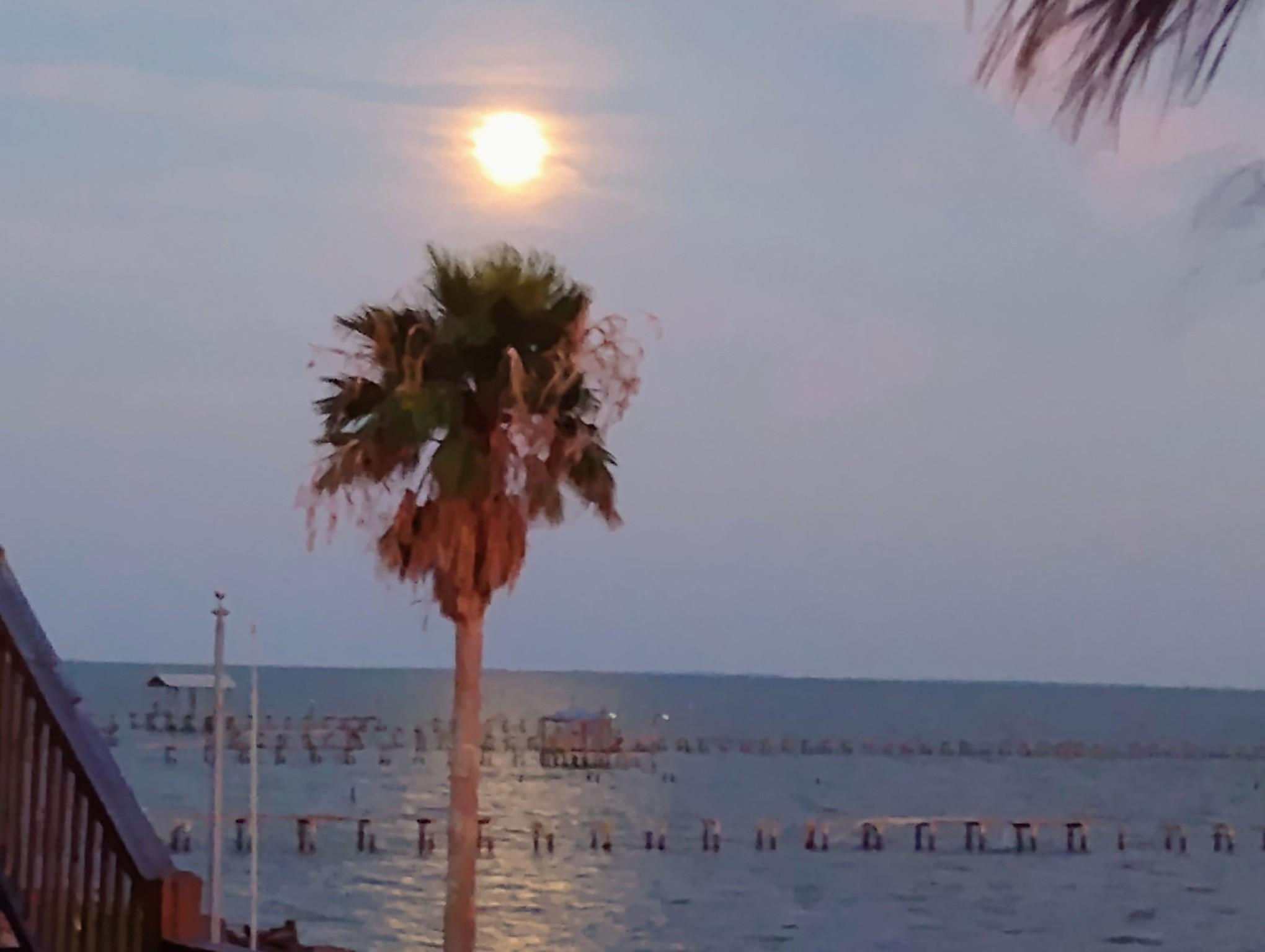 Image 2: Gorgeous View from the Backyard