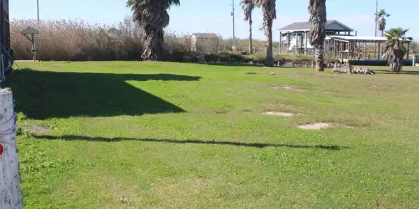 000 Van Sant