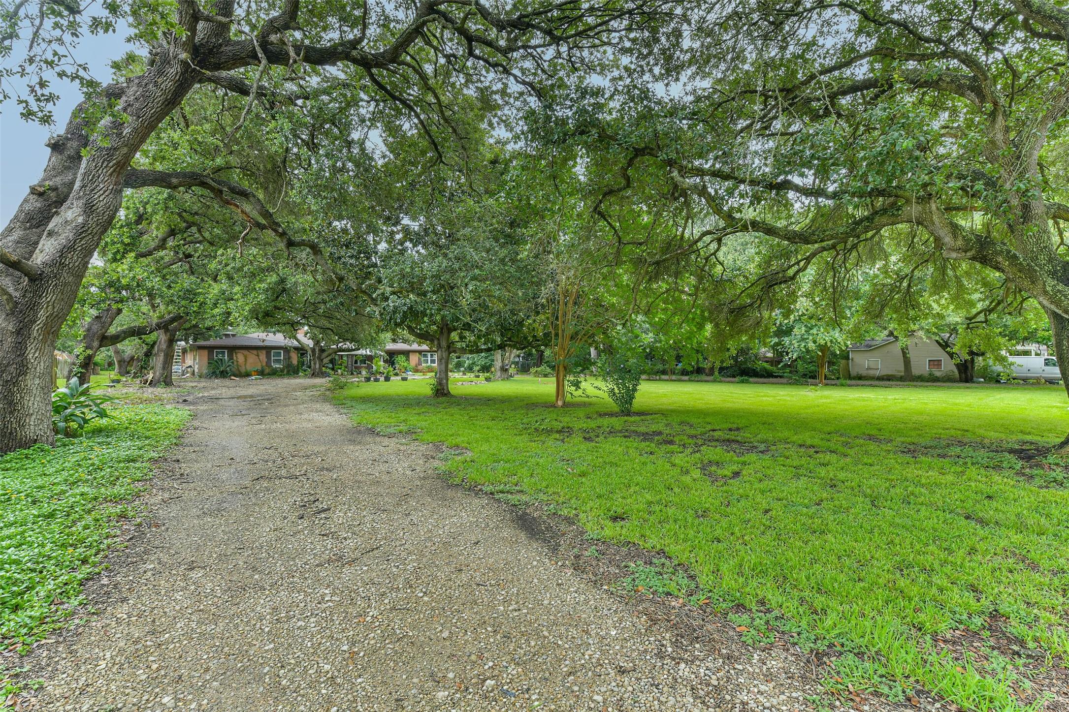 Image 4: Great view of the front of the house and showing a