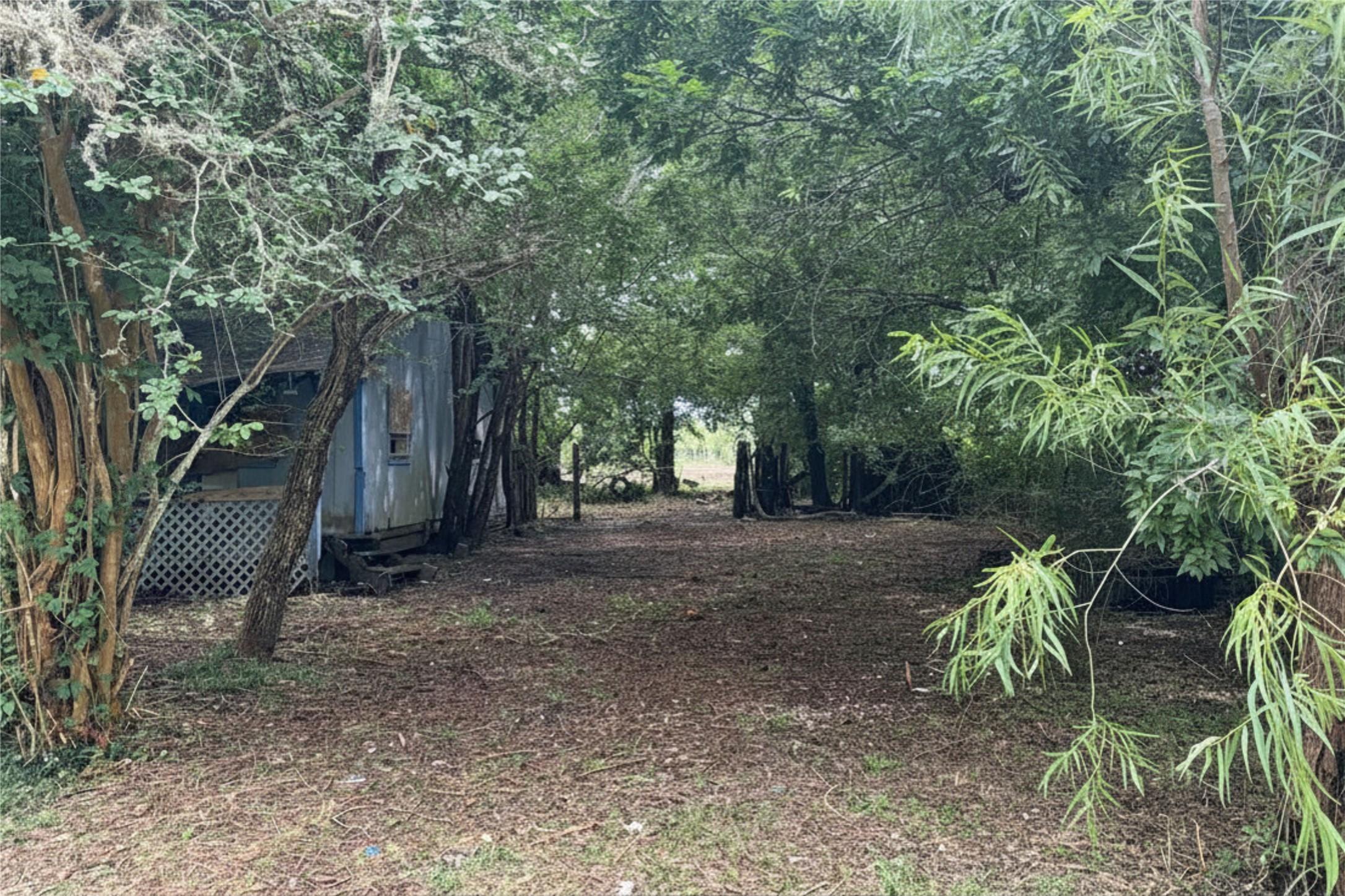 Image 2: This AS-IS property is bursting with possibilities