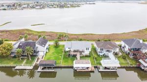 9 North White  Heron