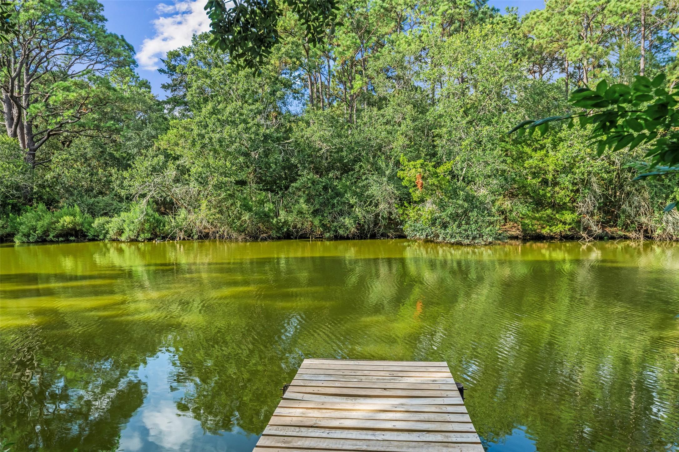 Image 4: Private pier that leads directly to the Bayou!!