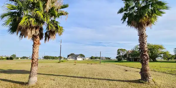 000 Mollnar Drive