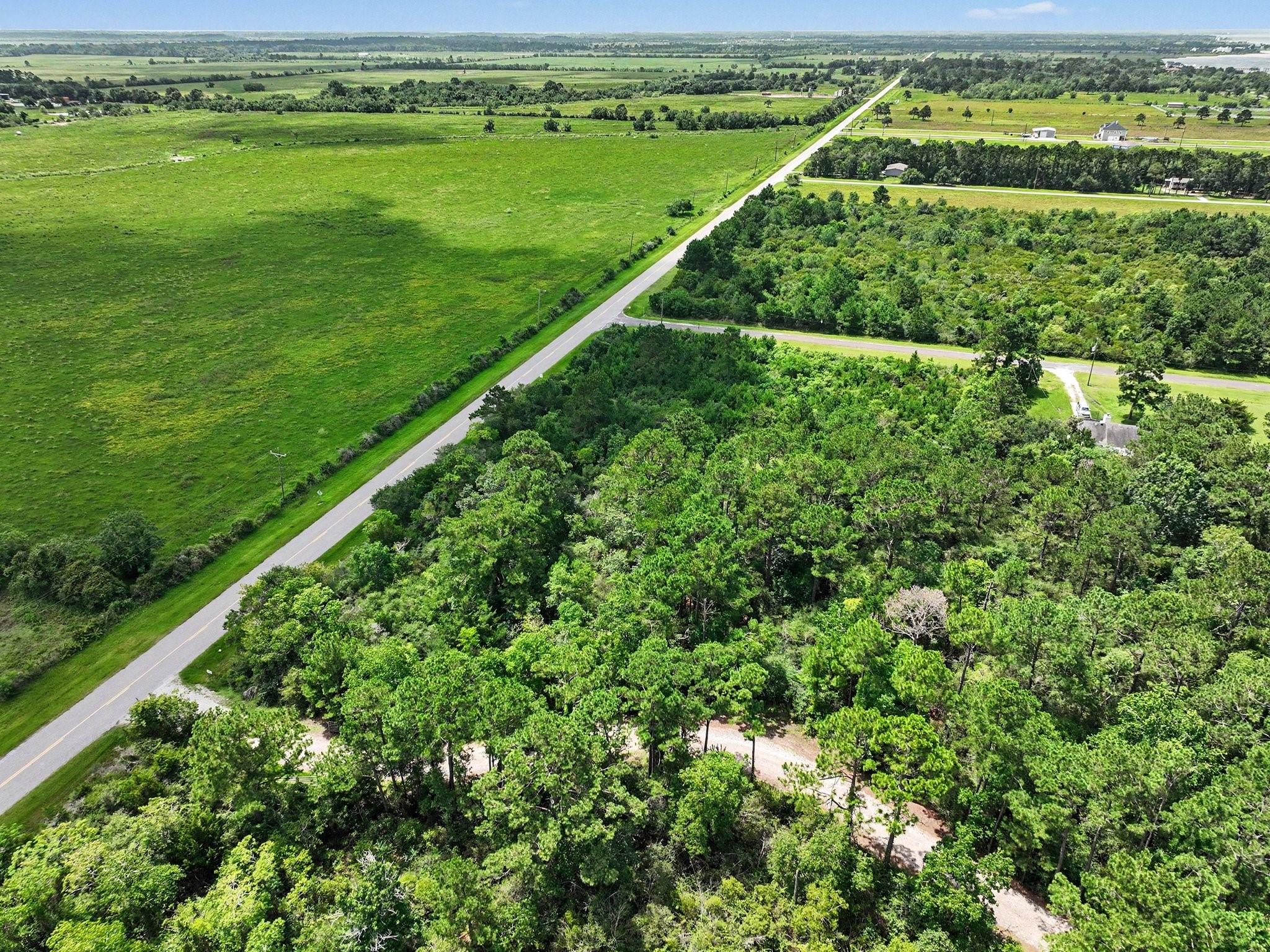 Image 3: Area view