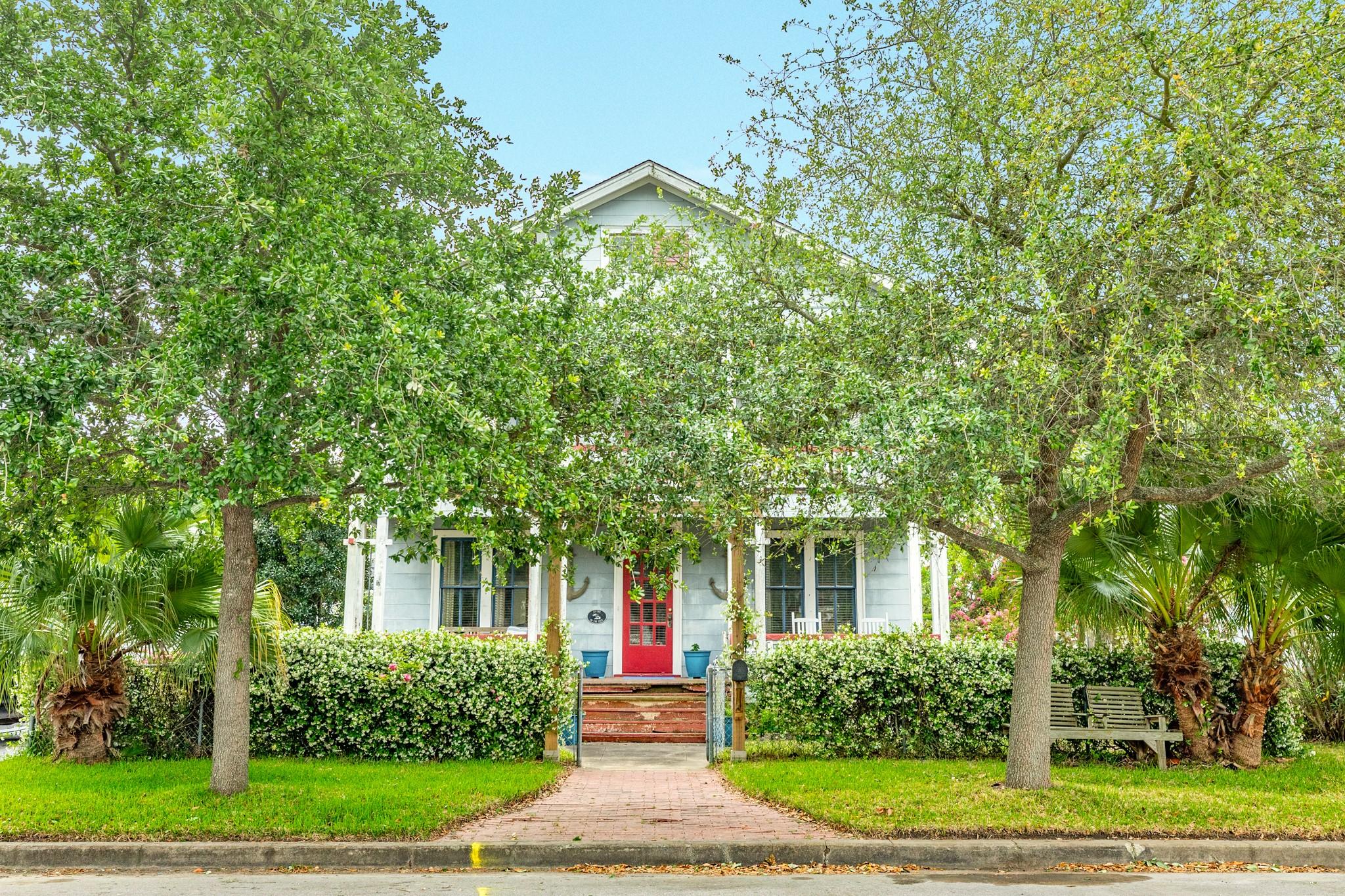Image 4: The front fence is adorned with blooming jasmine t