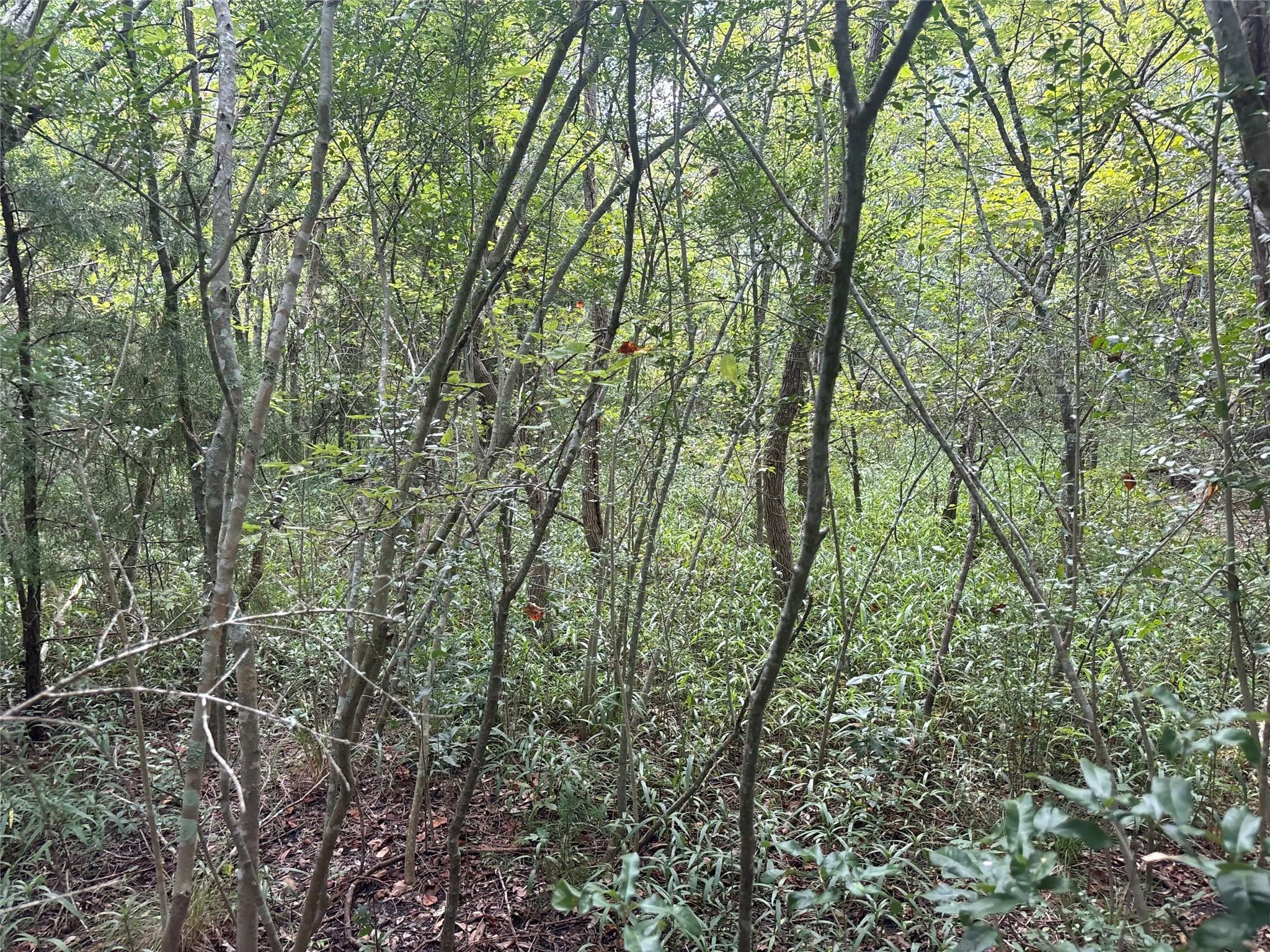 Image 3: Vacant lot in Hitchcock Texas, close to Galveston