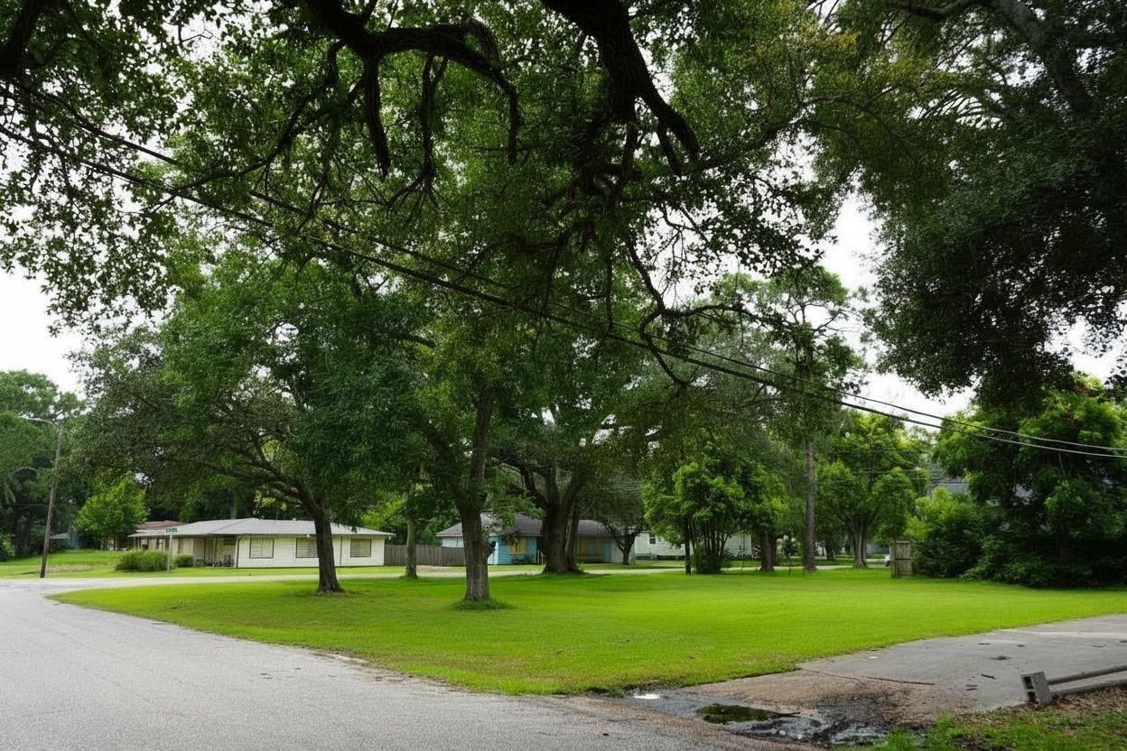 Image 3: View of this spacious corner lot from N Houston Dr