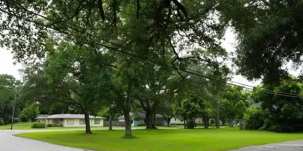 Image 3: View of this spacious corner lot from N Houston Dr