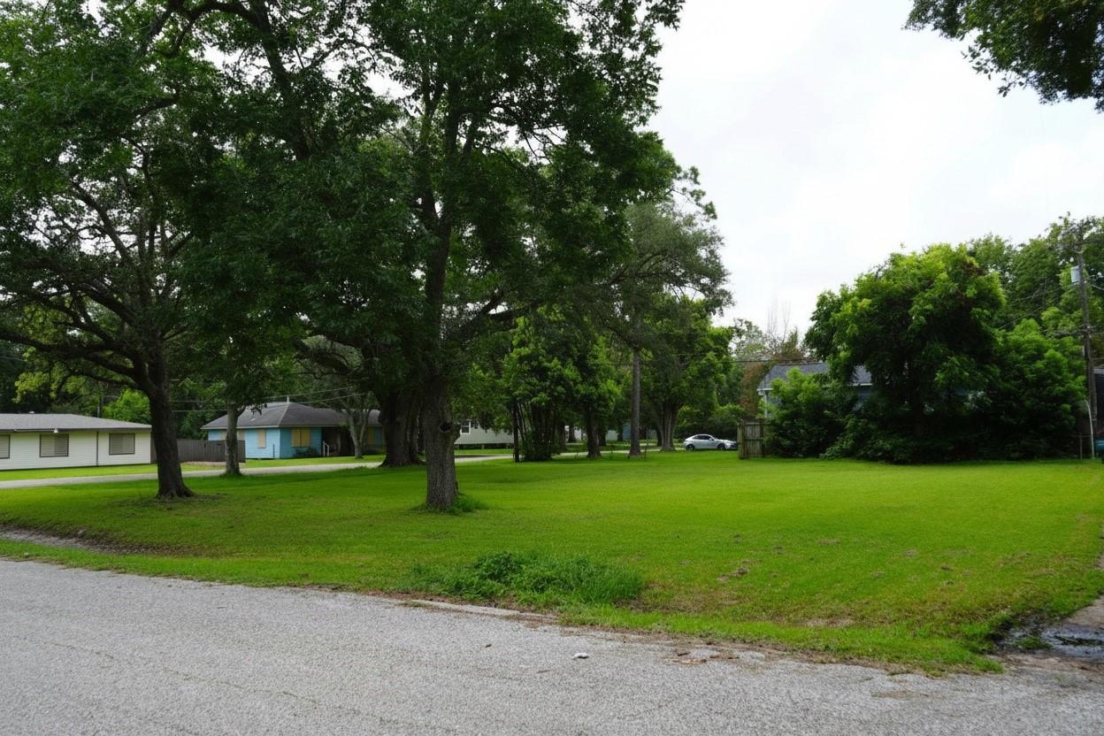 Image 4: View of this spacious corner lot from N Houston Dr