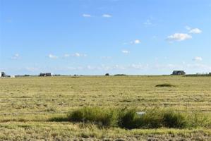 Lot 85 Waypoint Blvd Boulevard