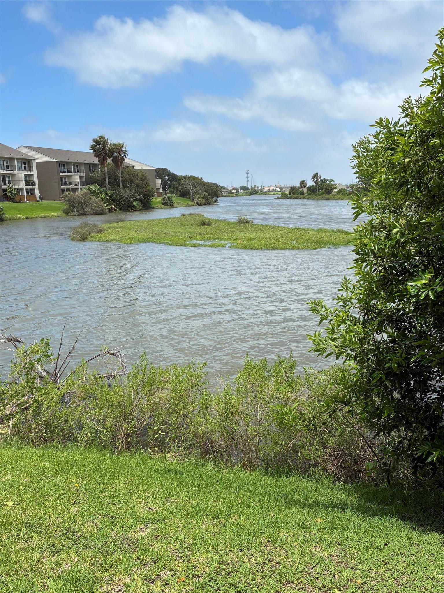 Image 3: This is the view out the fronmt door