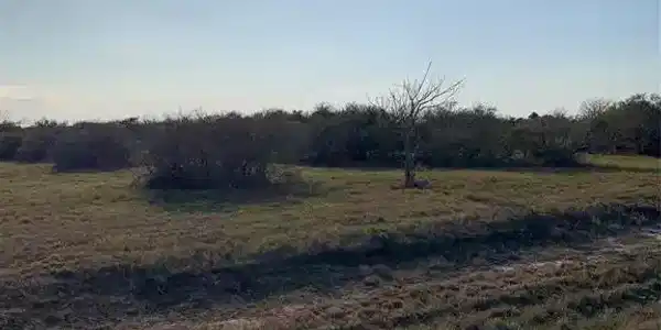 Lot 80 Fivemile Trail