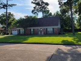 3102 Lazy Pine Lane