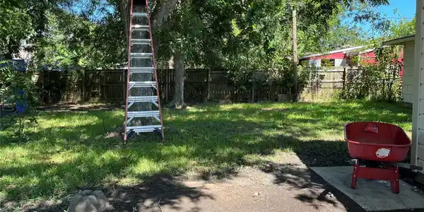 Image 3: Back yard view 2