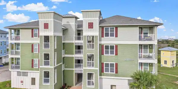 26540 MANGROVE