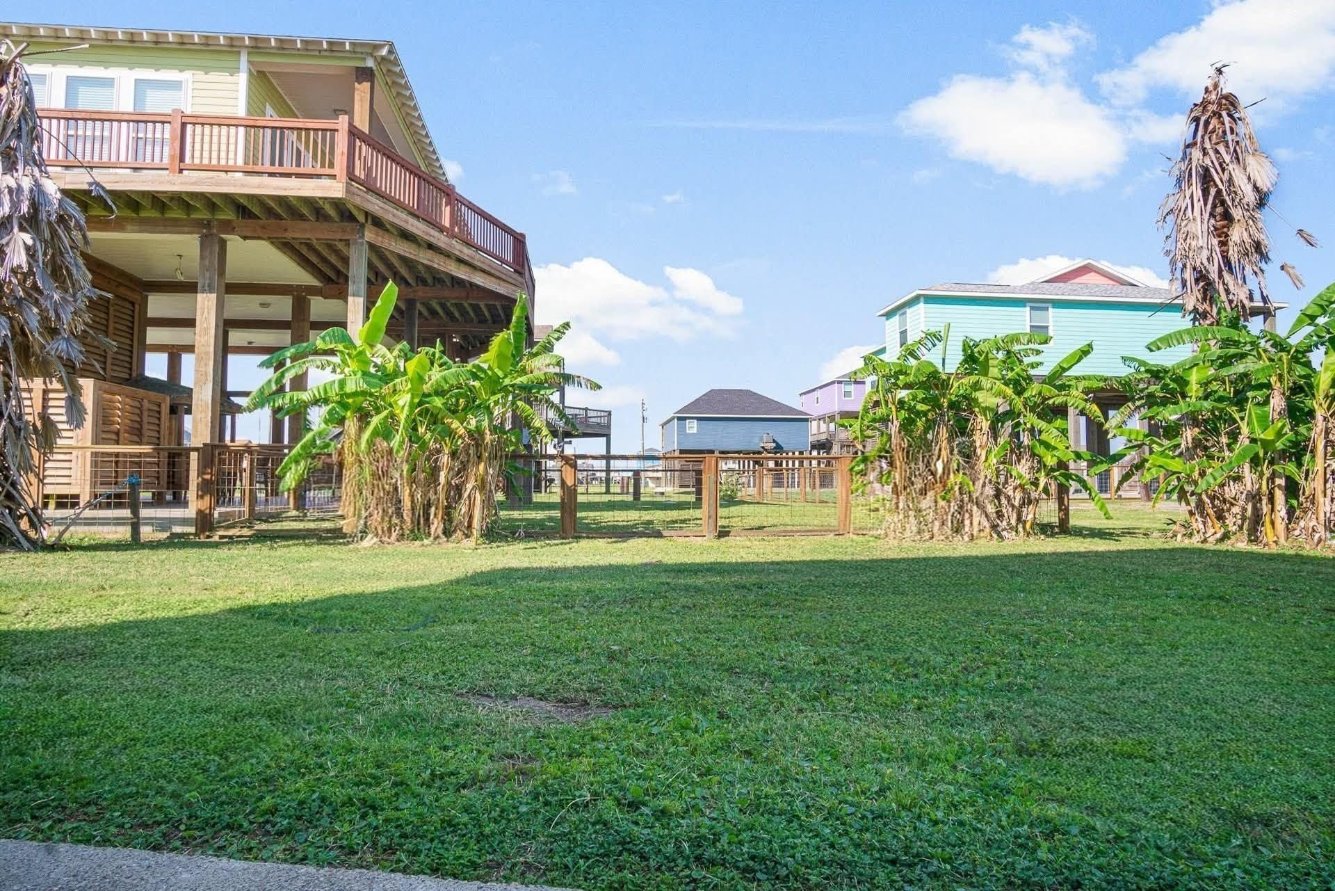 Image 4: Beautiful back yard