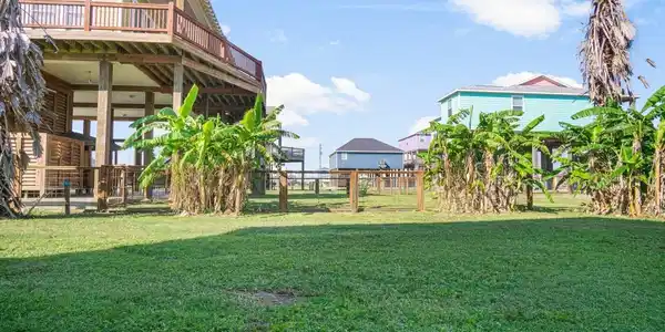 Image 4: Beautiful back yard