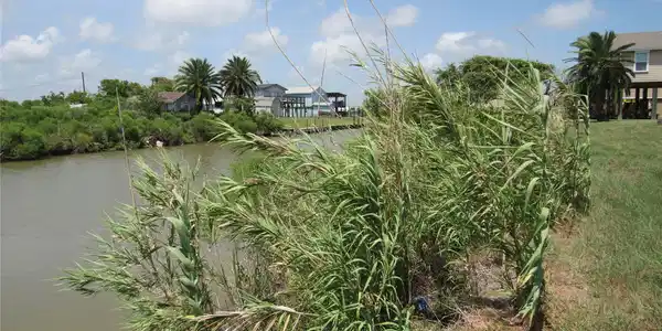 Image 4: UP THECANAL
