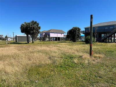 866 Bluebonnet Lane