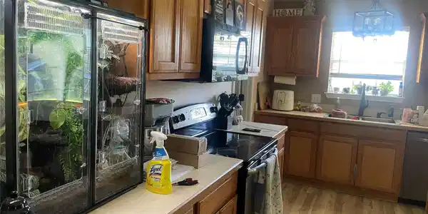 Image 3: Kitchen