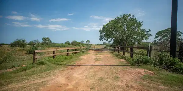 610 County Road 303