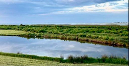 Image 3: Private Salt Water Pond with unobstructed views