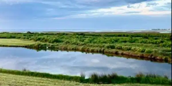 Image 3: Private Salt Water Pond with unobstructed views