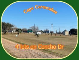 53 Concho Drive