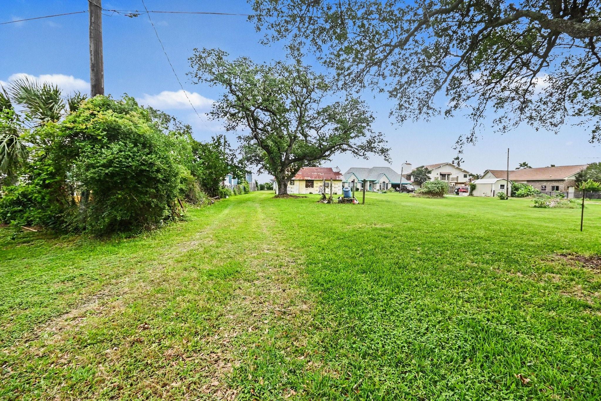 Image 3: Gravel driveway under the grass.