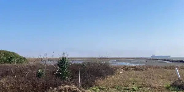 1708 Galveston
