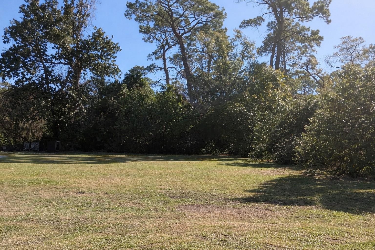 Image 2: View of your land!