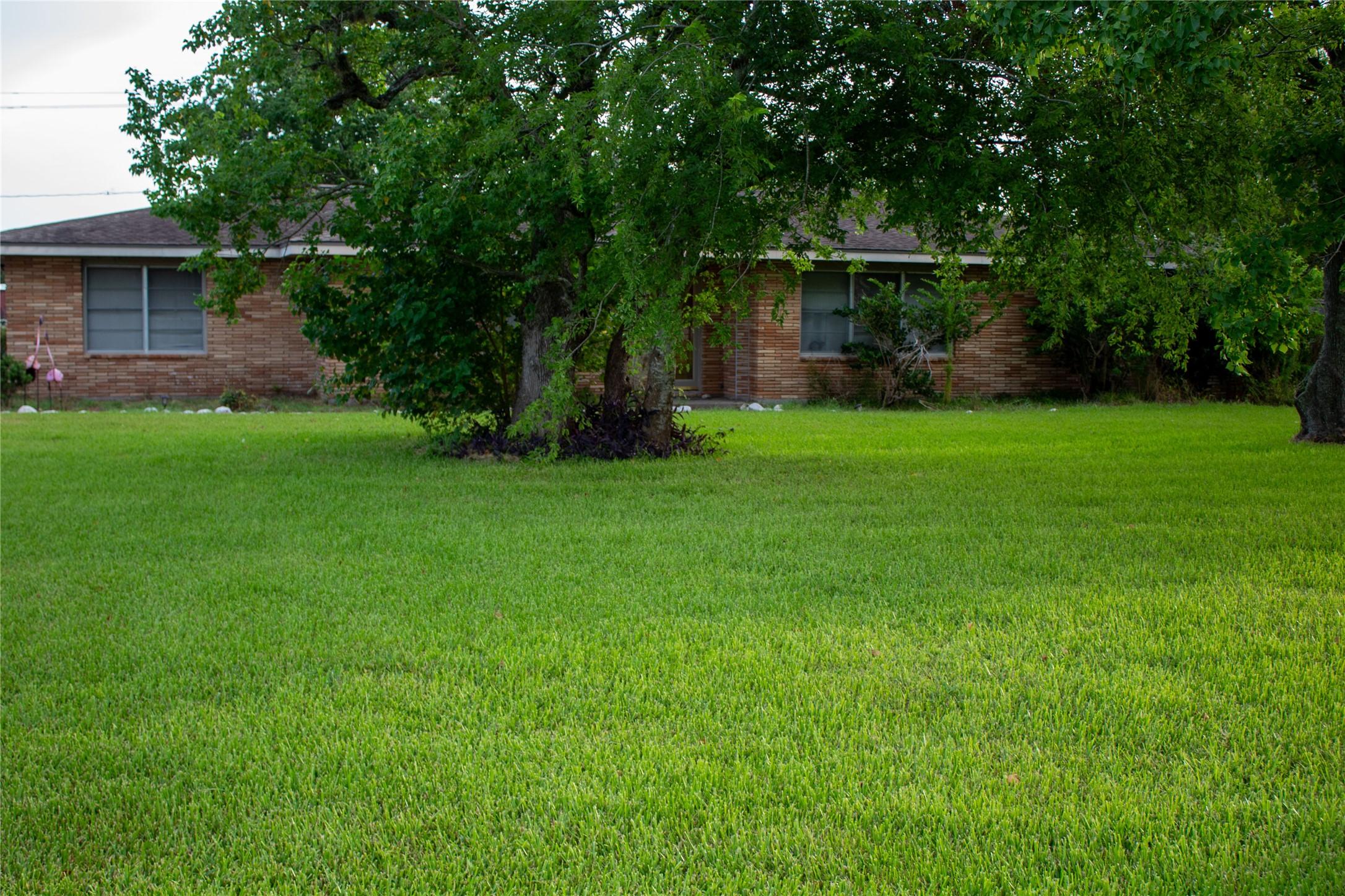 Image 3: front yard in front of house
