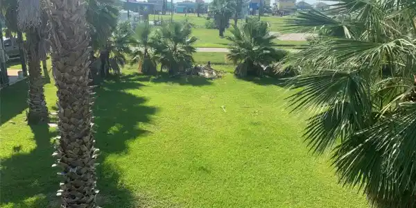 Lot 205 Bud Drive