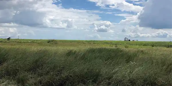 Lot 166 Coral Lane