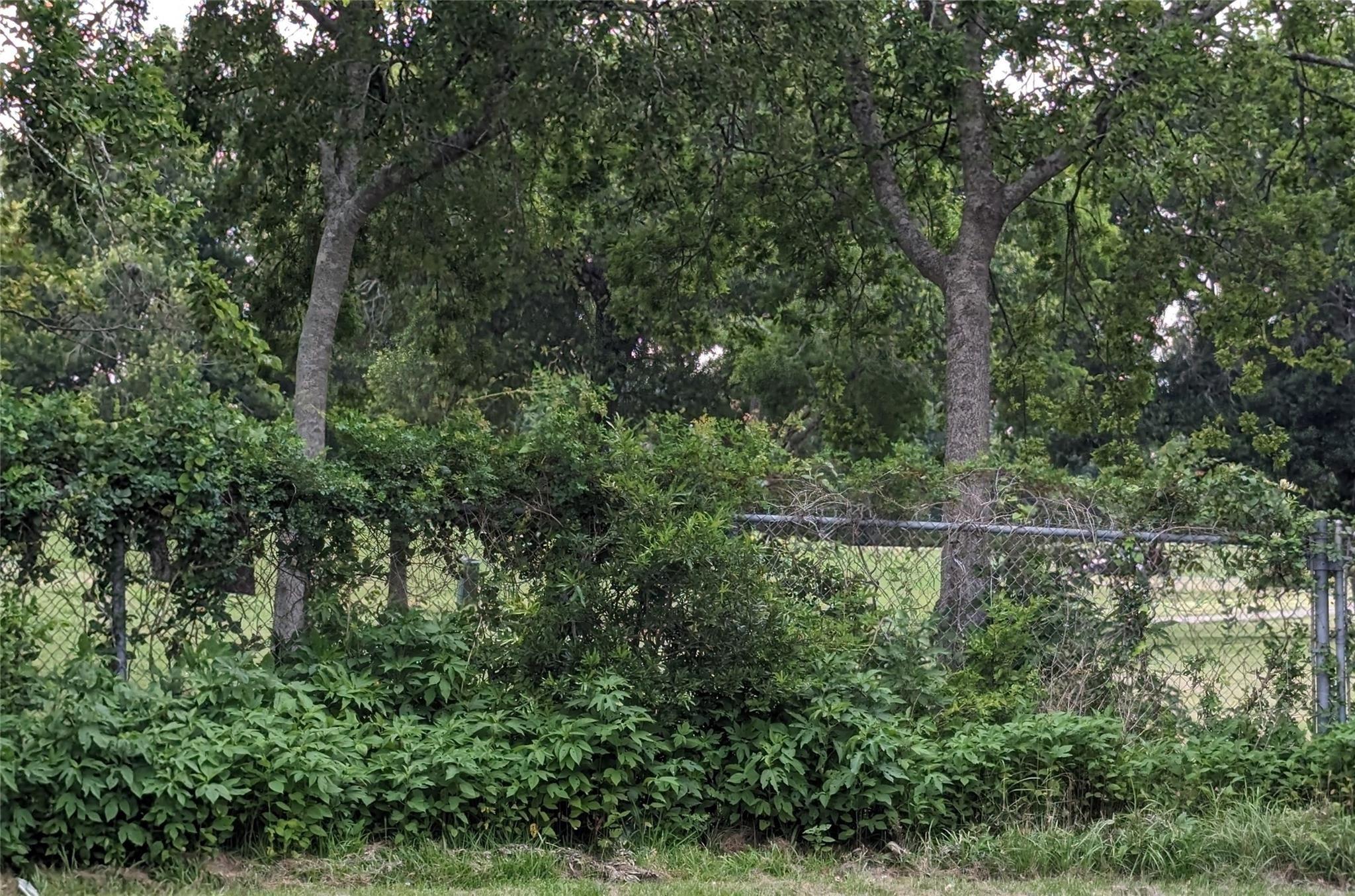 Image 2: 4 Wooded Lots