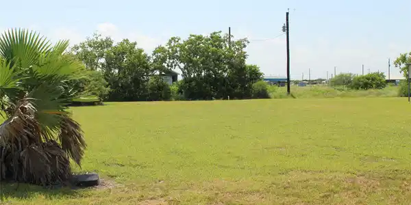 Image 3: Lot 7