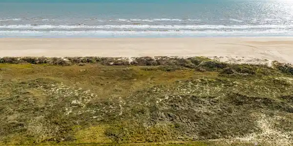Image 2: SEASIDE ESTATES COUNTY BEACHFRONT LOTS