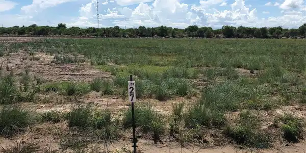 Image 3: Front Lot