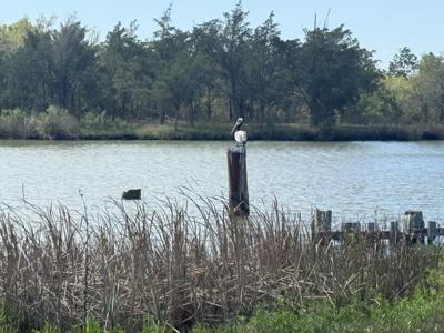 01 W Bayshore Road