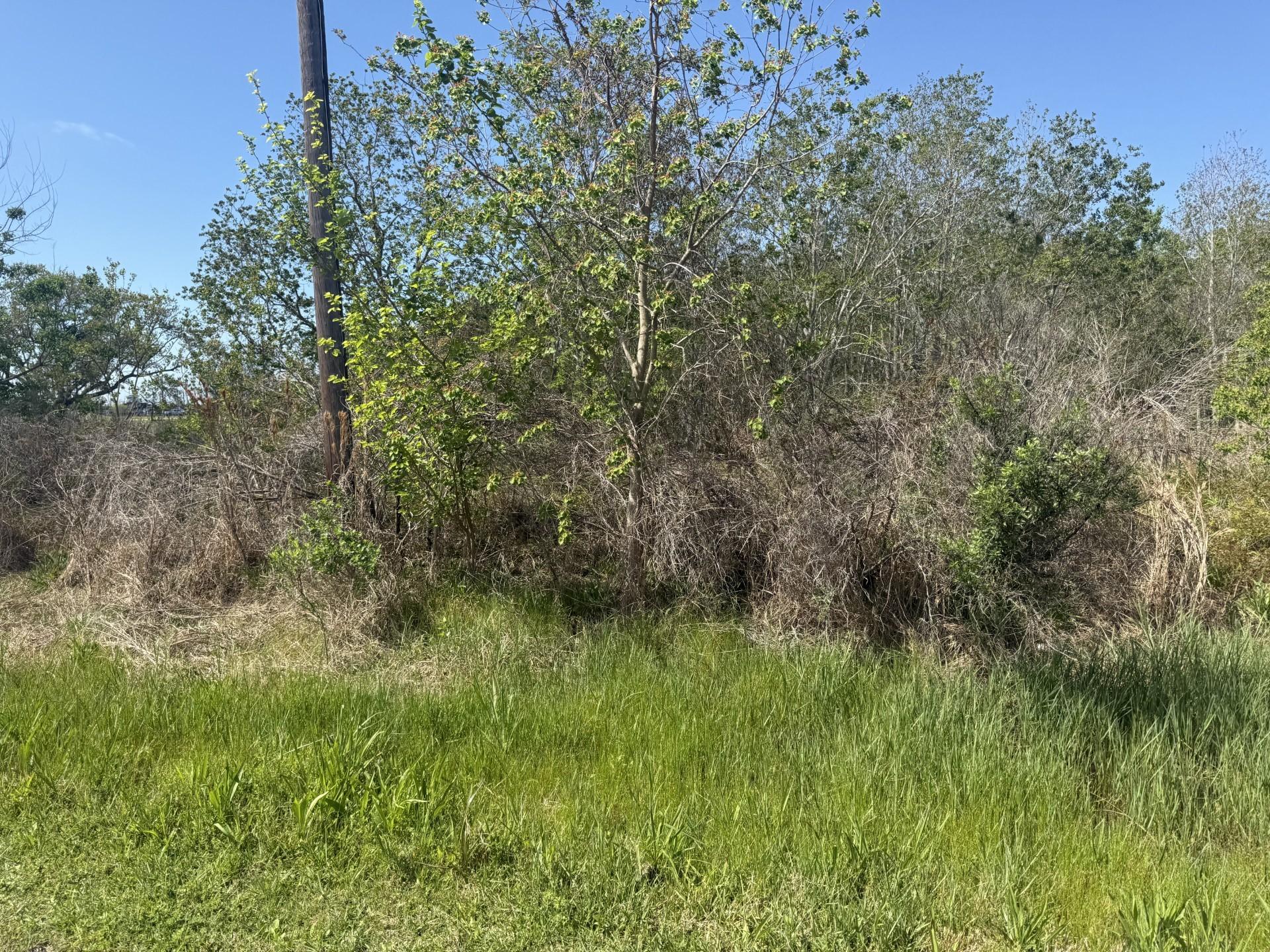 Image 2: What a beautiful water view lot