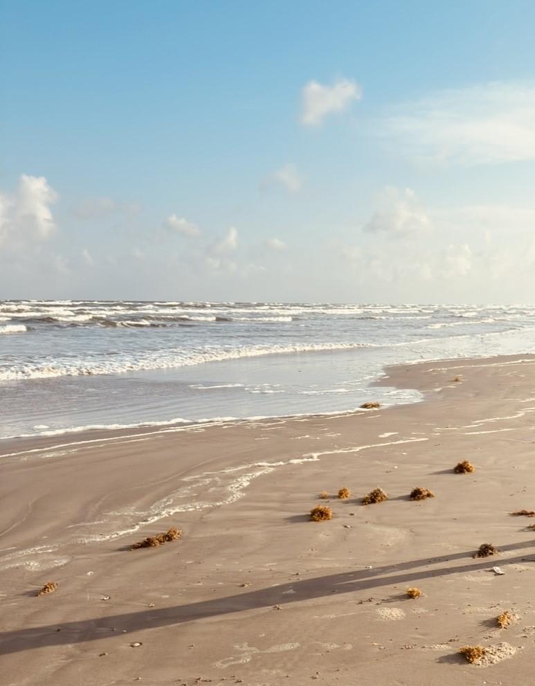 Image 2: Serene beach for your morning walks.